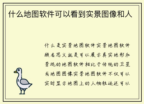 什么地图软件可以看到实景图像和人