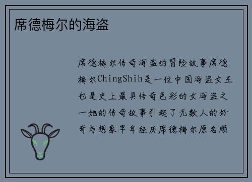 席德梅尔的海盗